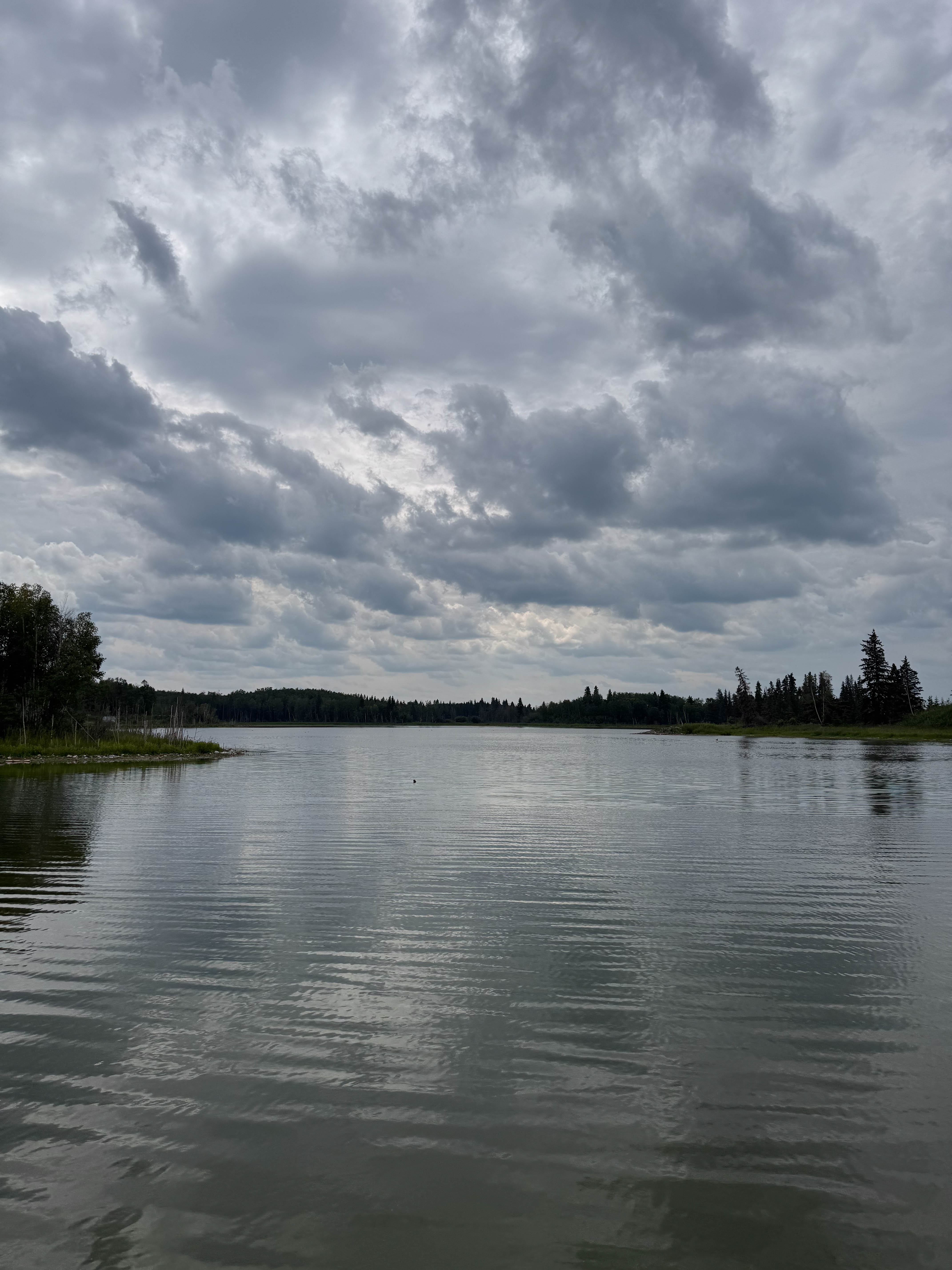 https://0201.nccdn.net/1_2/000/000/153/481/edmonton-order-68.jpg