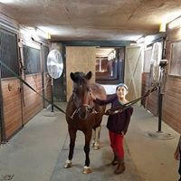 Luna and Hunter: Grooming before and after riding is all part of the programs here, at Positive Way Horsemanship.