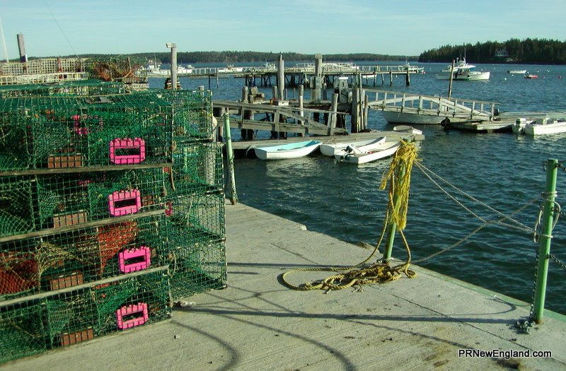 Lobster Traps