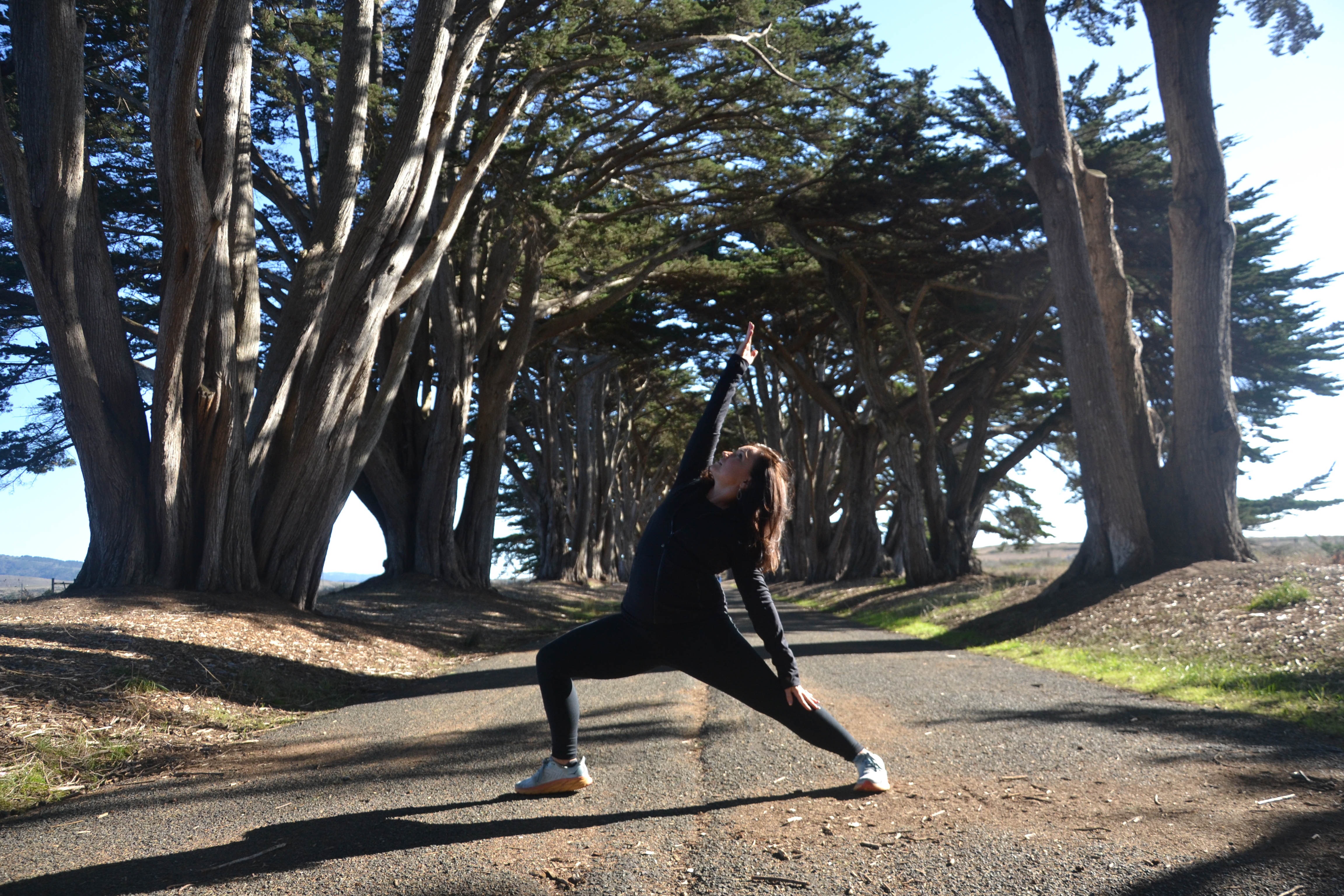 https://0201.nccdn.net/1_2/000/000/154/0ef/san-fran-order-2-115.jpg