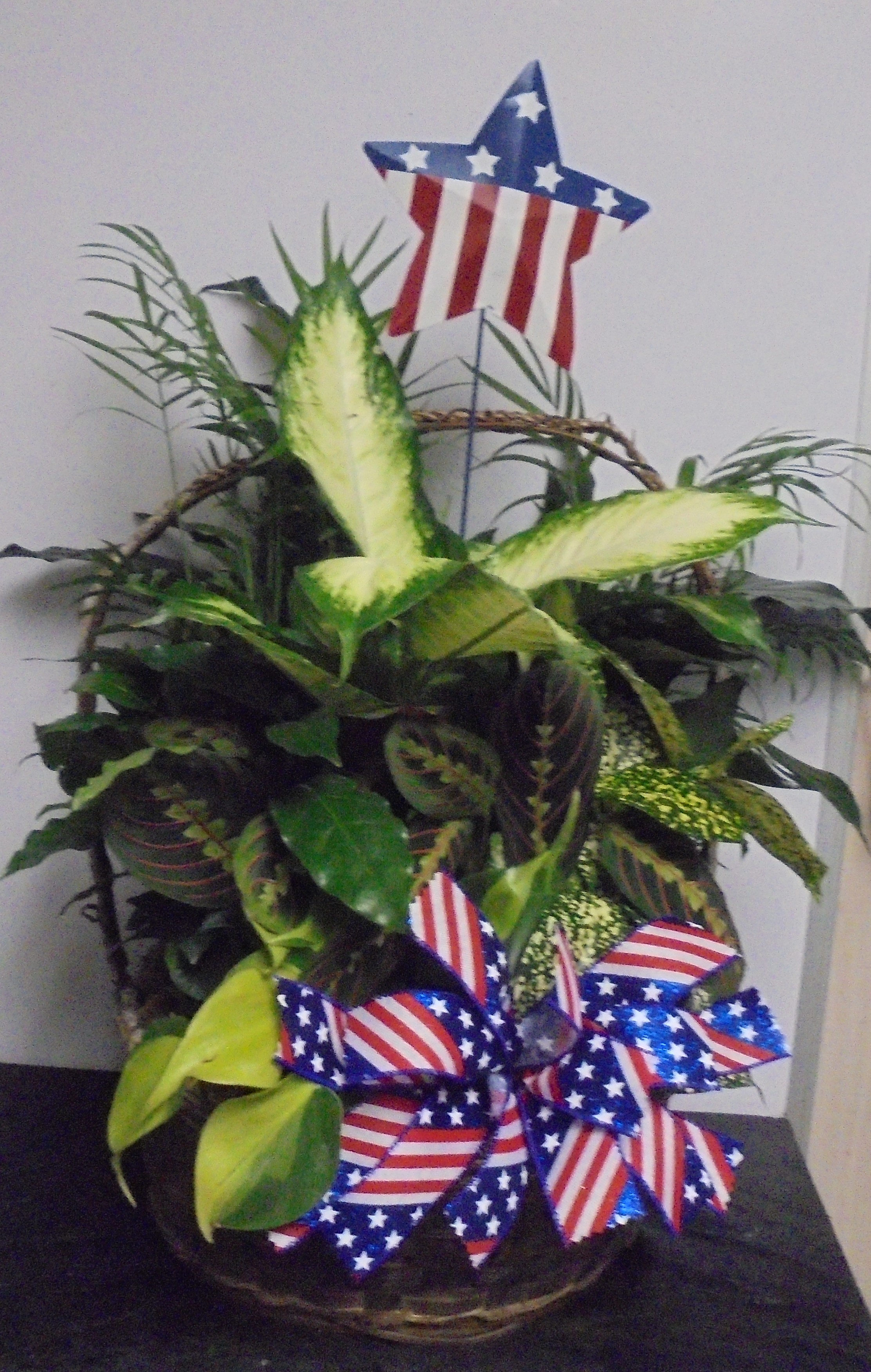 (8) Dish-Garden Plant 
With Star
$100.00