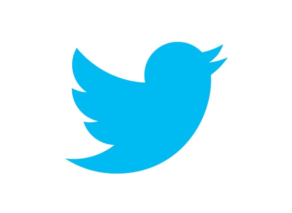 https://0201.nccdn.net/1_2/000/000/154/21d/twitter_logo_principal.jpg