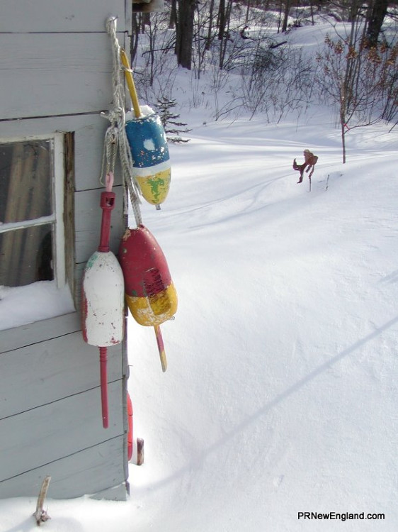 Lobster Buoys in the Snow