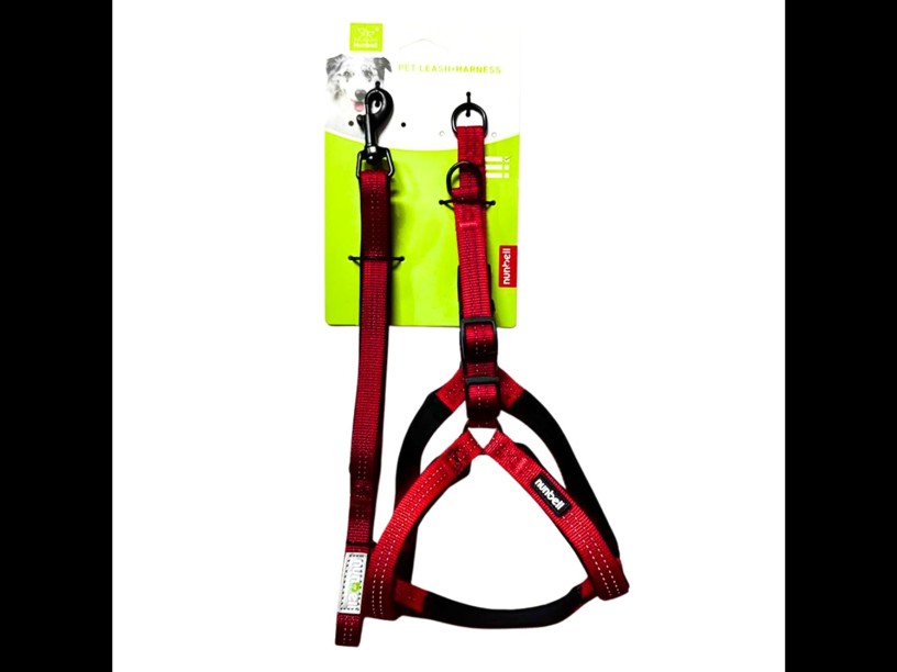 RO55 CORREA CON PECHERA 
CON REFLEJANTE MED 
NUNBELL