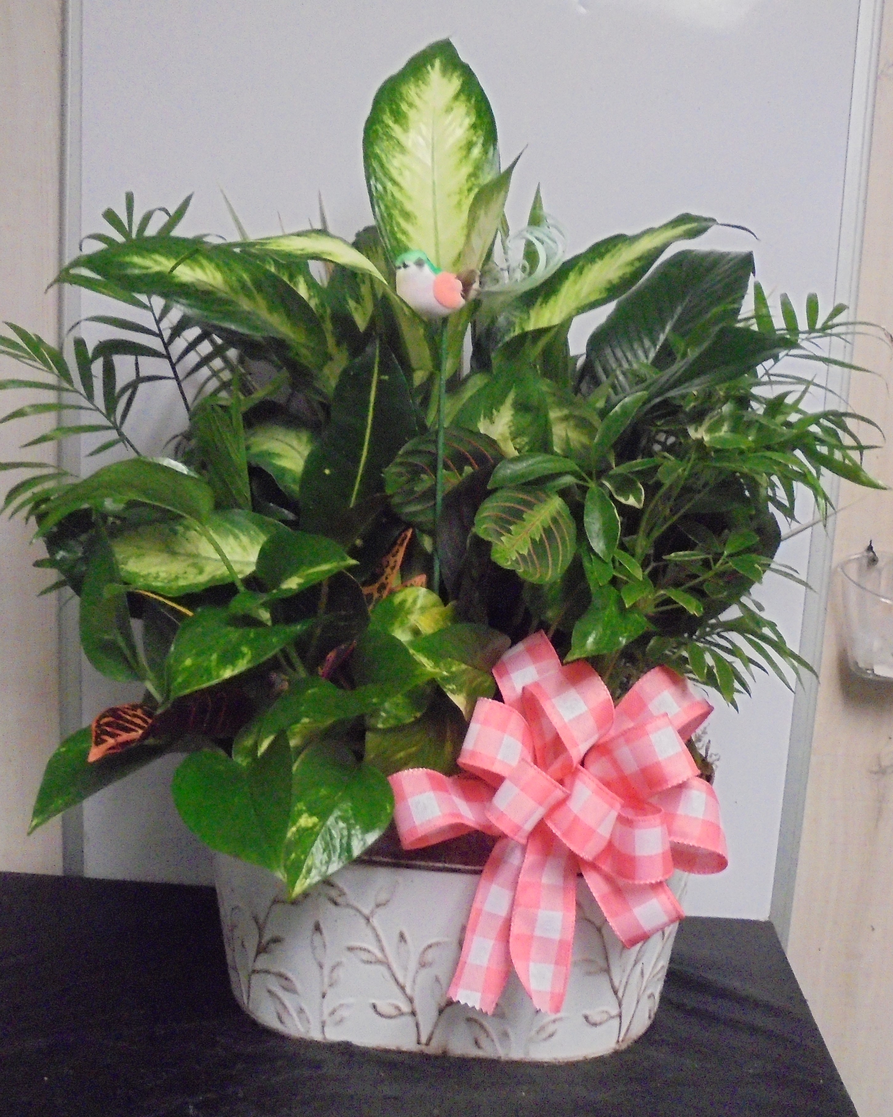 (9) Dish-Garden Plant 
W/ Bird
$100.00
