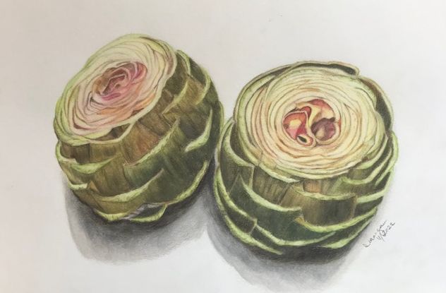 Artichokes
9x12
Hot Press Watercolor