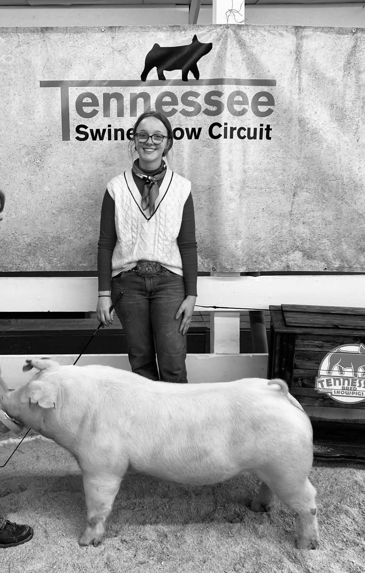 Ivy Johnson
2024 Freeze Out
Champion Chester White Barrow

2024 New Years Countdown
Champion TN Bred 
Chester White Barrow
