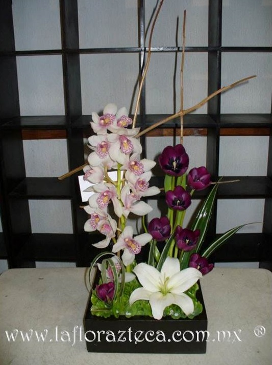 LFA -315
Precio $1,990