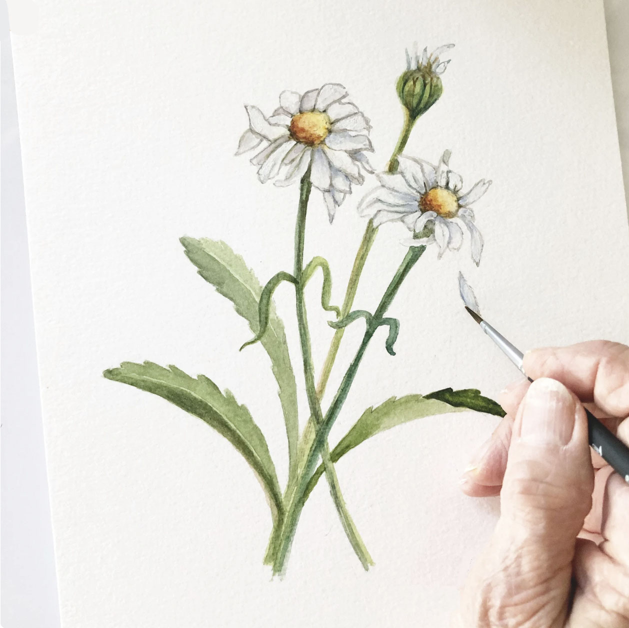 https://0201.nccdn.net/1_2/000/000/154/e7a/daisy-painting-with-hand.jpg