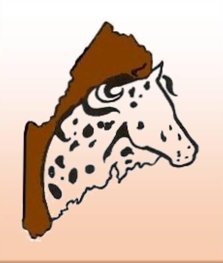 Maine Appaloosa Horse Club