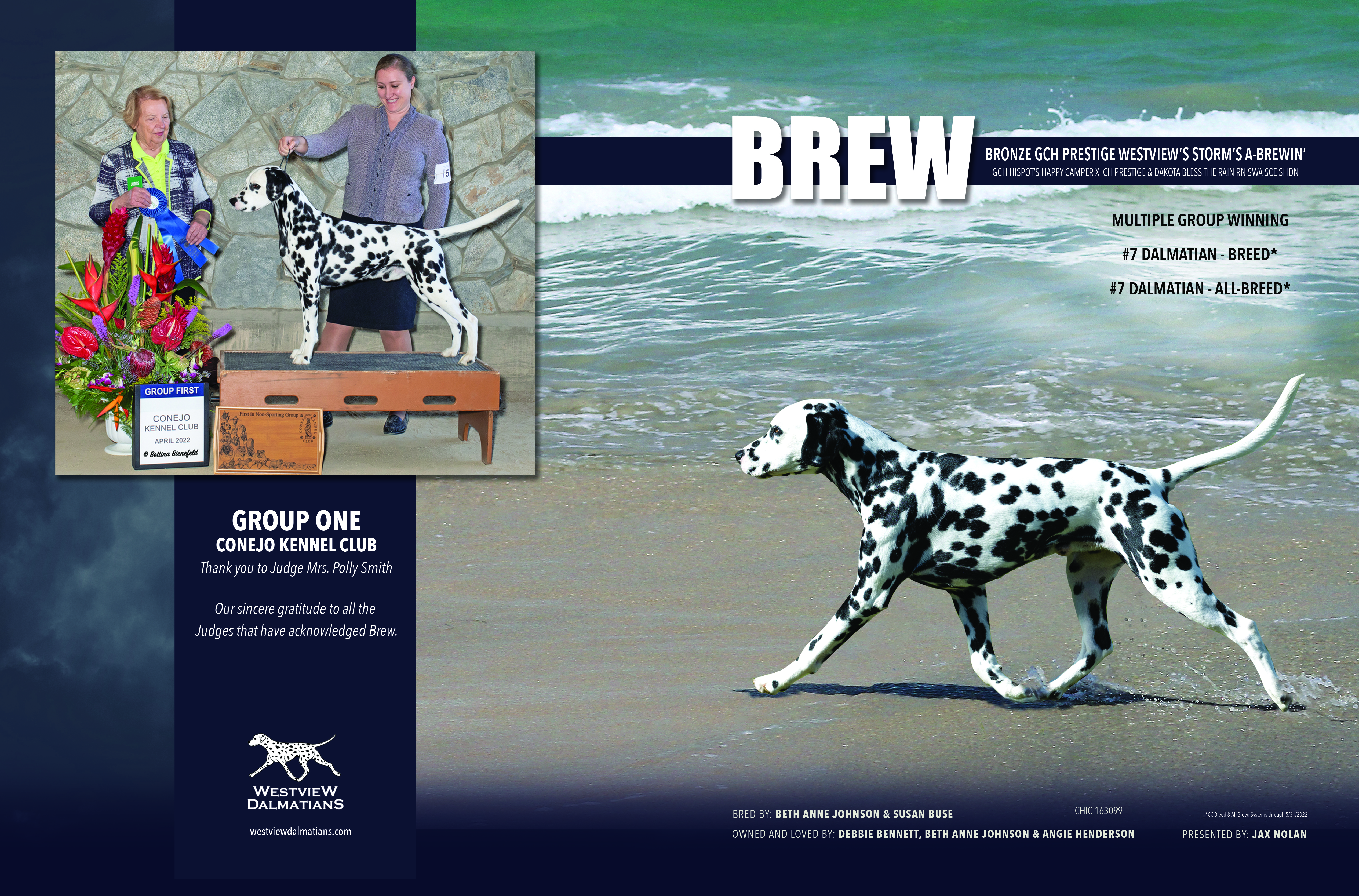 Canine Chronicle Ad featuring Brew
