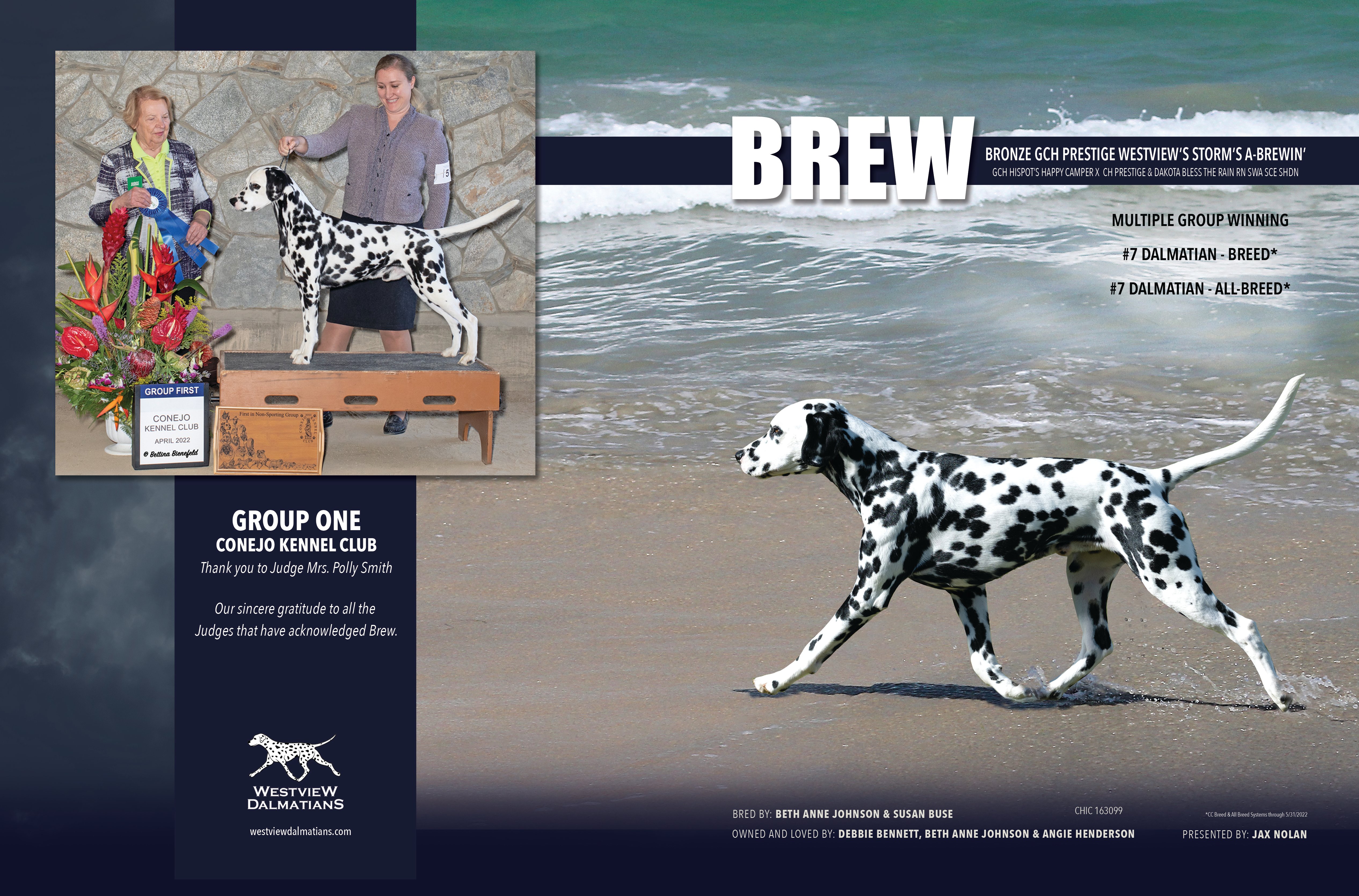 Canine Chronicle Ad featuring Brew