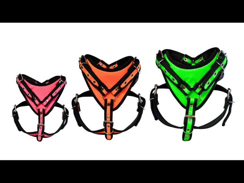 PECHERA EXPLORER NEON 2