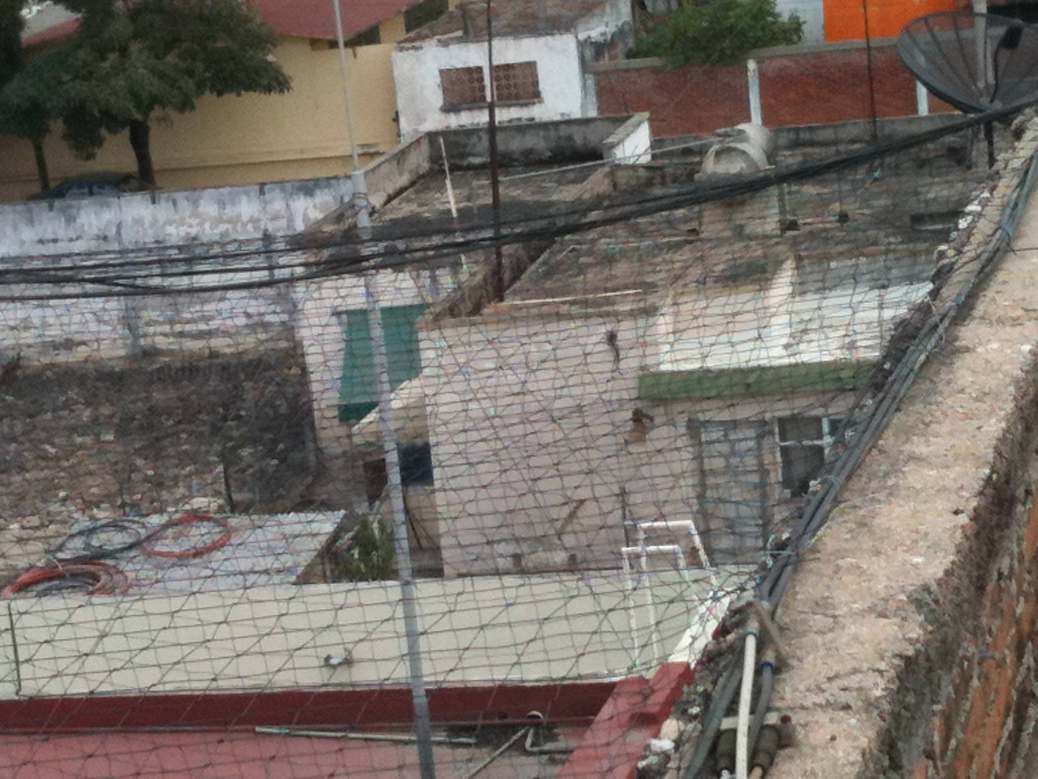 redes para el control pacífico de aves