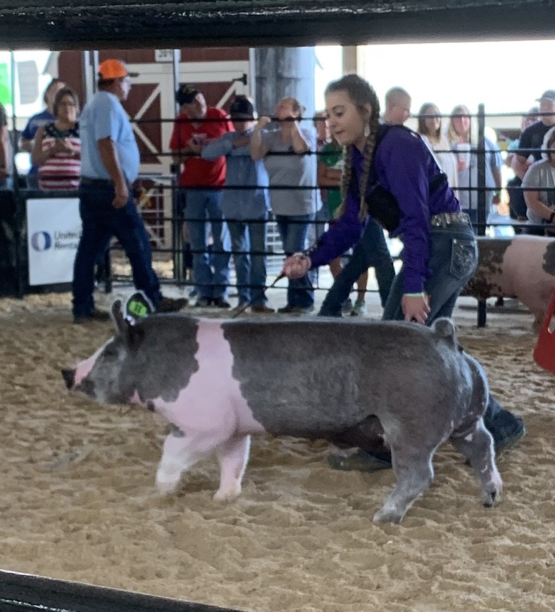 Lena Stricklen 
2019 Phelps County Fair, Missouri
Class Winning Market Hog
