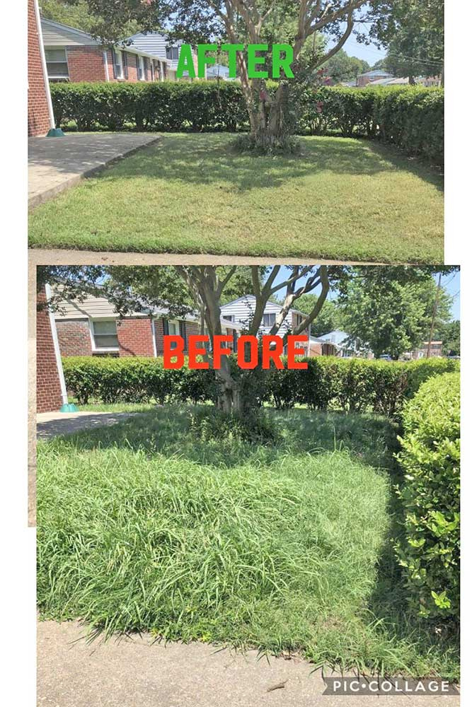Lawn Mowing Project