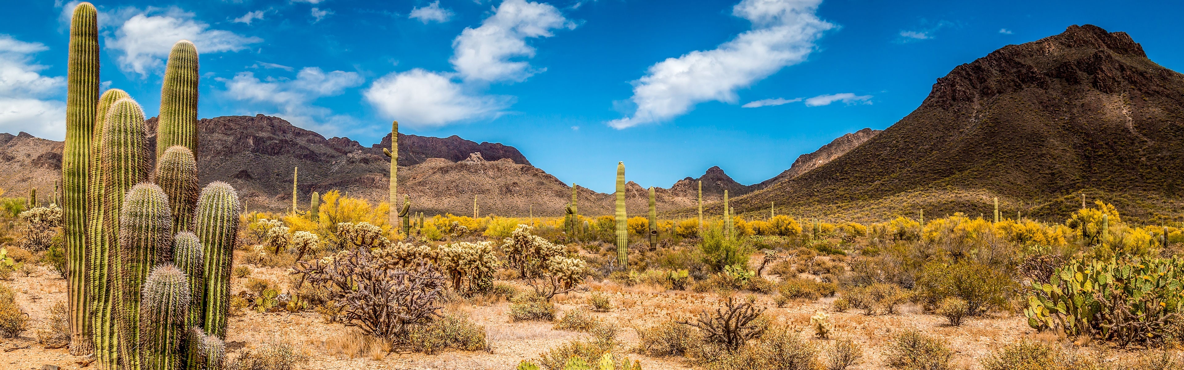 Psychotherapy Albuquerque Psychiatric Disorders