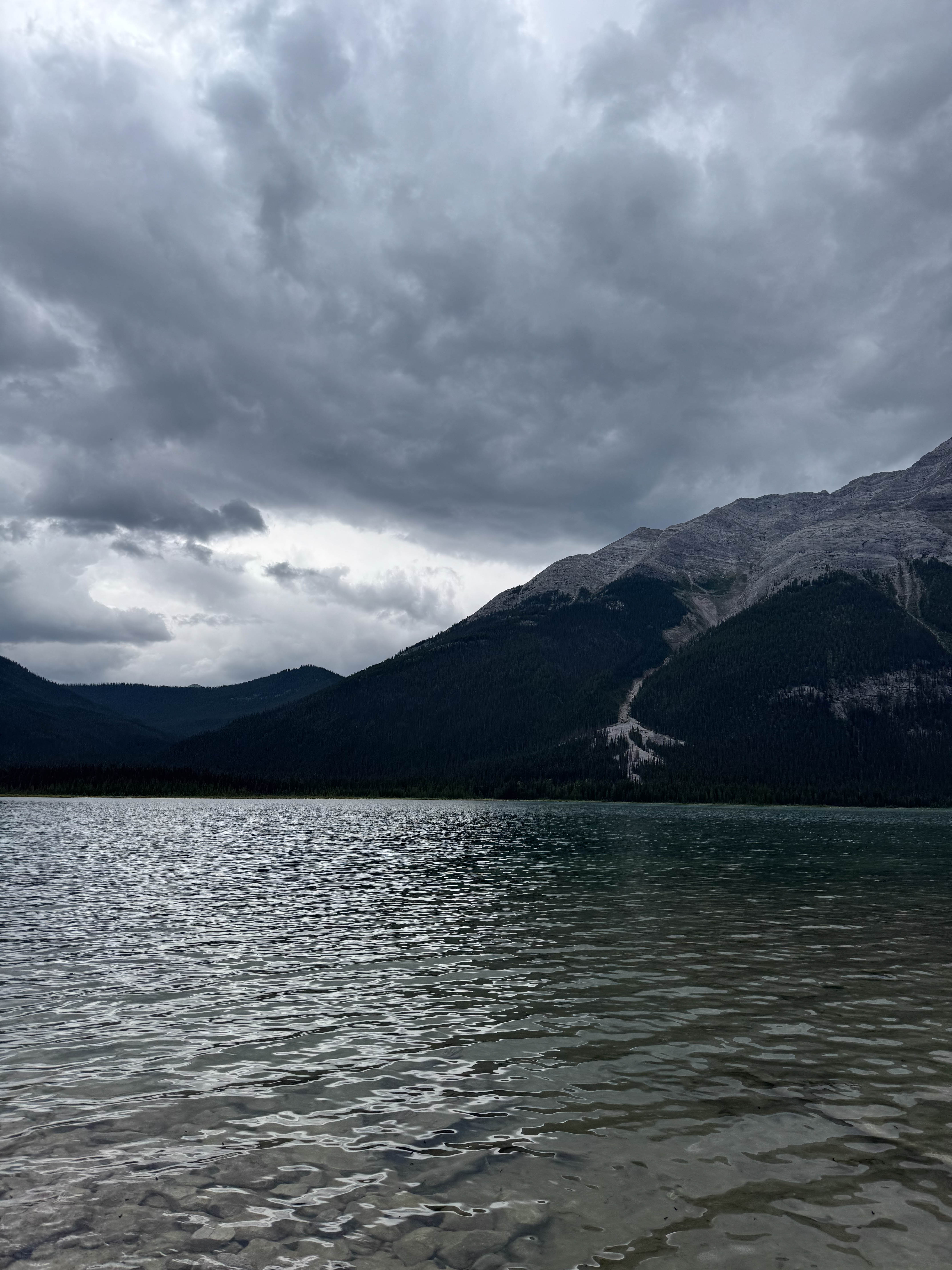 https://0201.nccdn.net/1_2/000/000/155/996/calgary-order-176.jpg