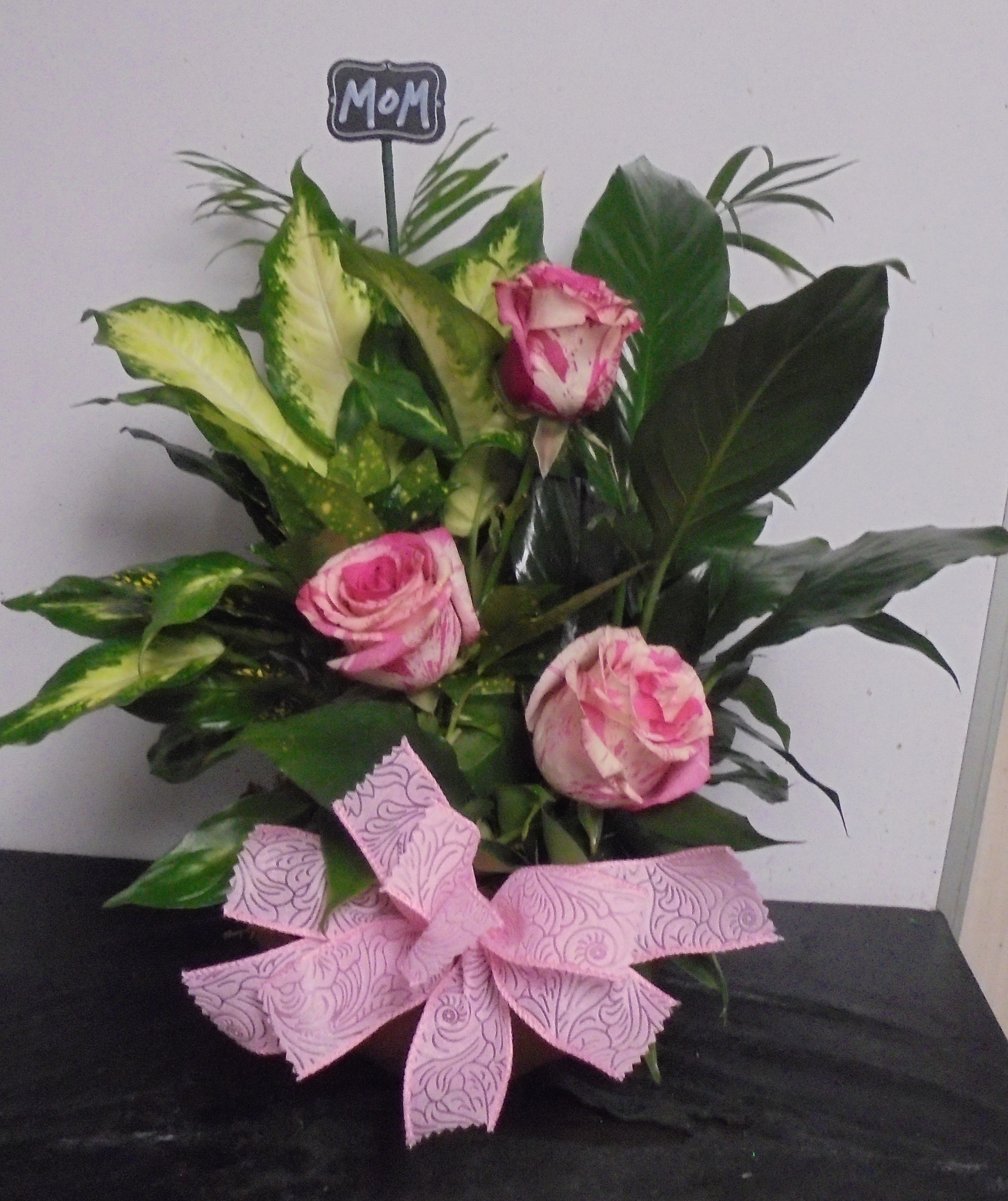 (14) "Dish-Garden" Plant
W/ Three Roses
$75.00
(Rose Colors May Vary)