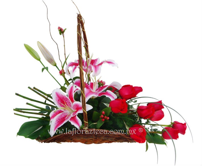 San Valentin 038
$ 1120.00 pesos