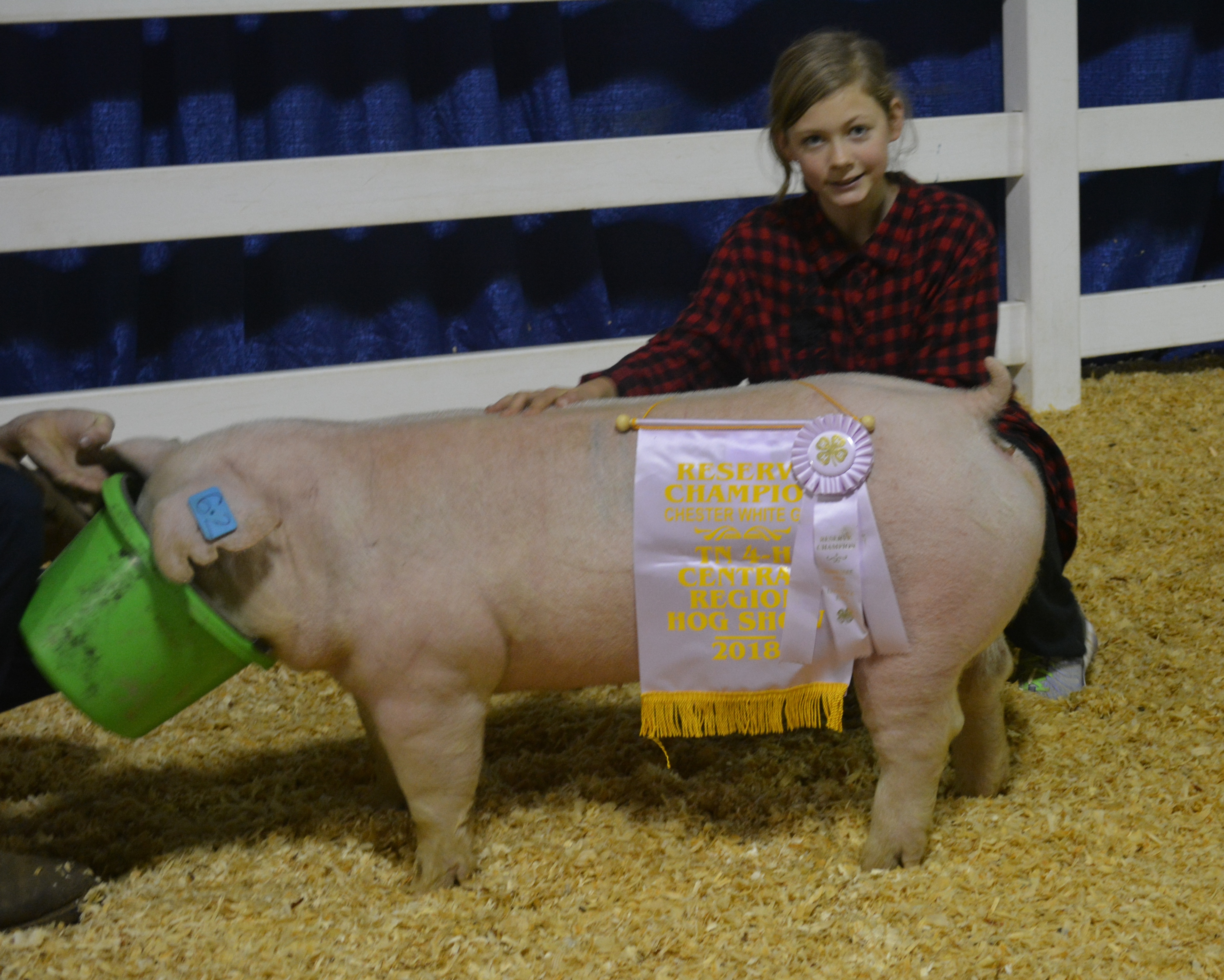 Samantha Lindsey
2018 Tennessee Central Region Show
Reserve Champion Chester White Gilt