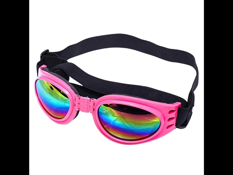 RO11 GOGLES DE MASCOTA