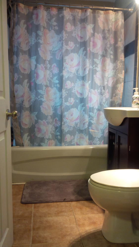 78 Mountain Bathroom