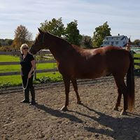 Ritz and Cathy at a Positive Way Play Day!  Ritz was chosen by Cathy to be her teacher for the day! 