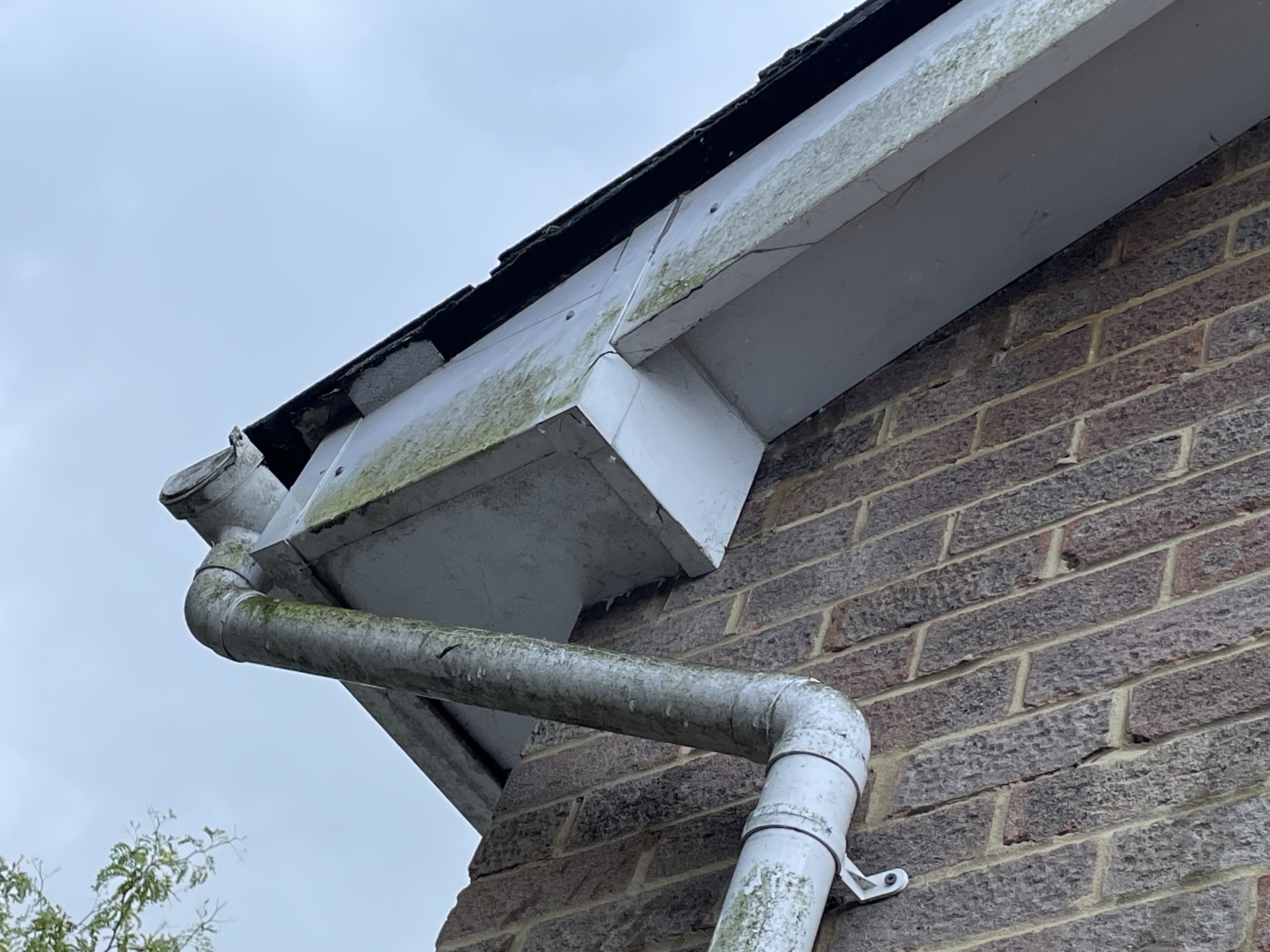 Gutter, Soffit & Fascia Clean - Tunbridge Wells - Before