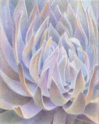 Shades of grey and blue (8" x 8" coloured pencils)
exhibited at Mission Trails Art Gallery, San Diego, California (Nov.2010)