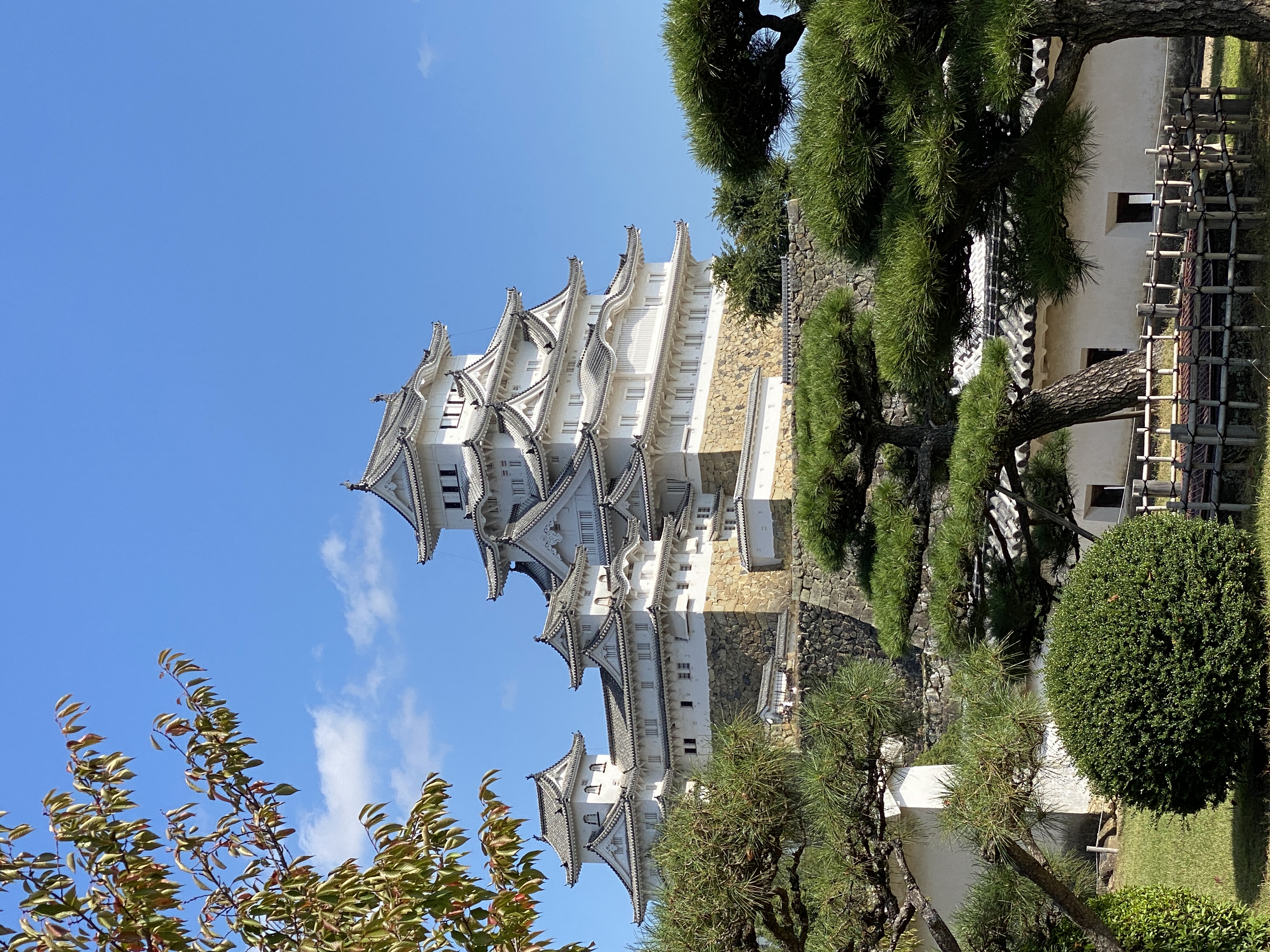 We took a tour of Himeji castle the day after the taikai. Very interesting - not a luxurious castle - this was a working fortress.