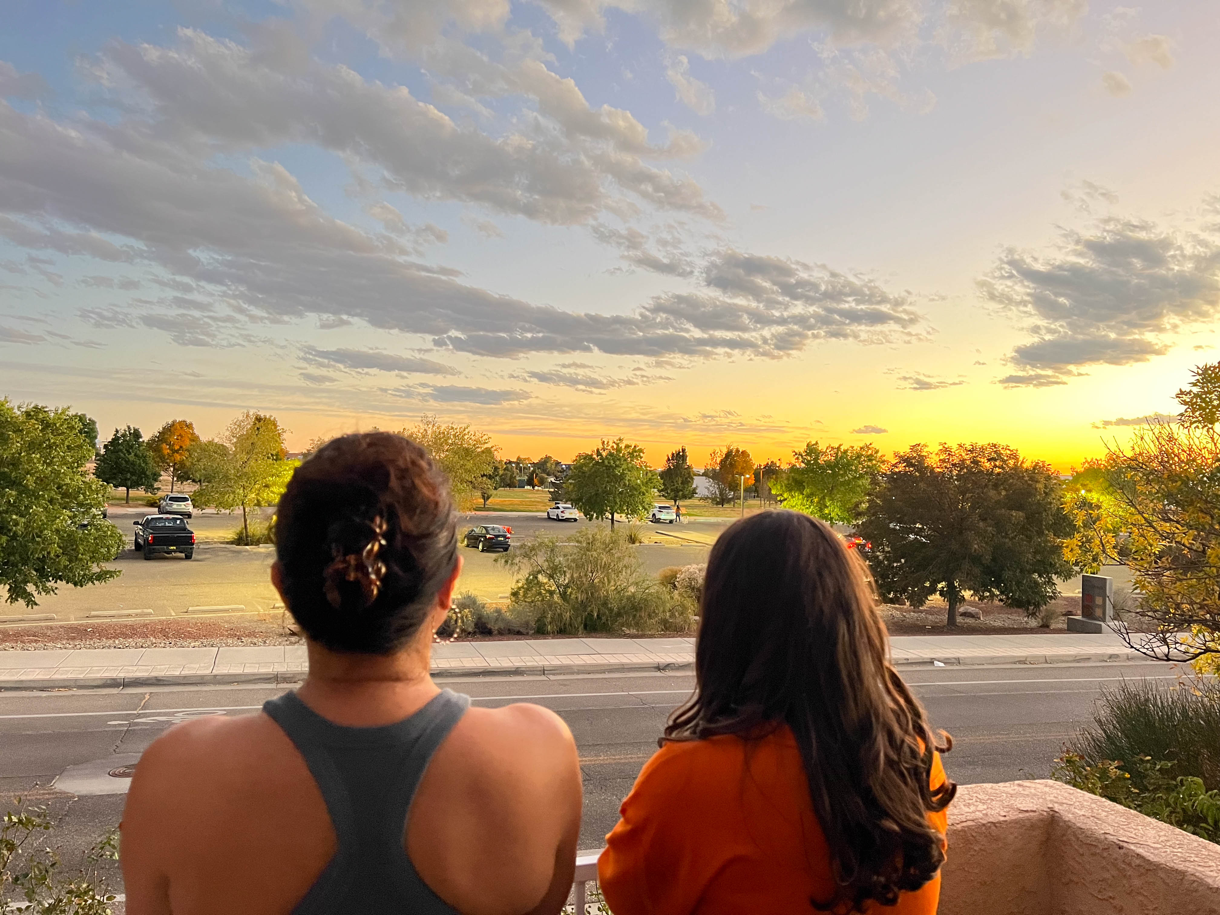 https://0201.nccdn.net/1_2/000/000/156/980/albuquerque-order-2.jpg
