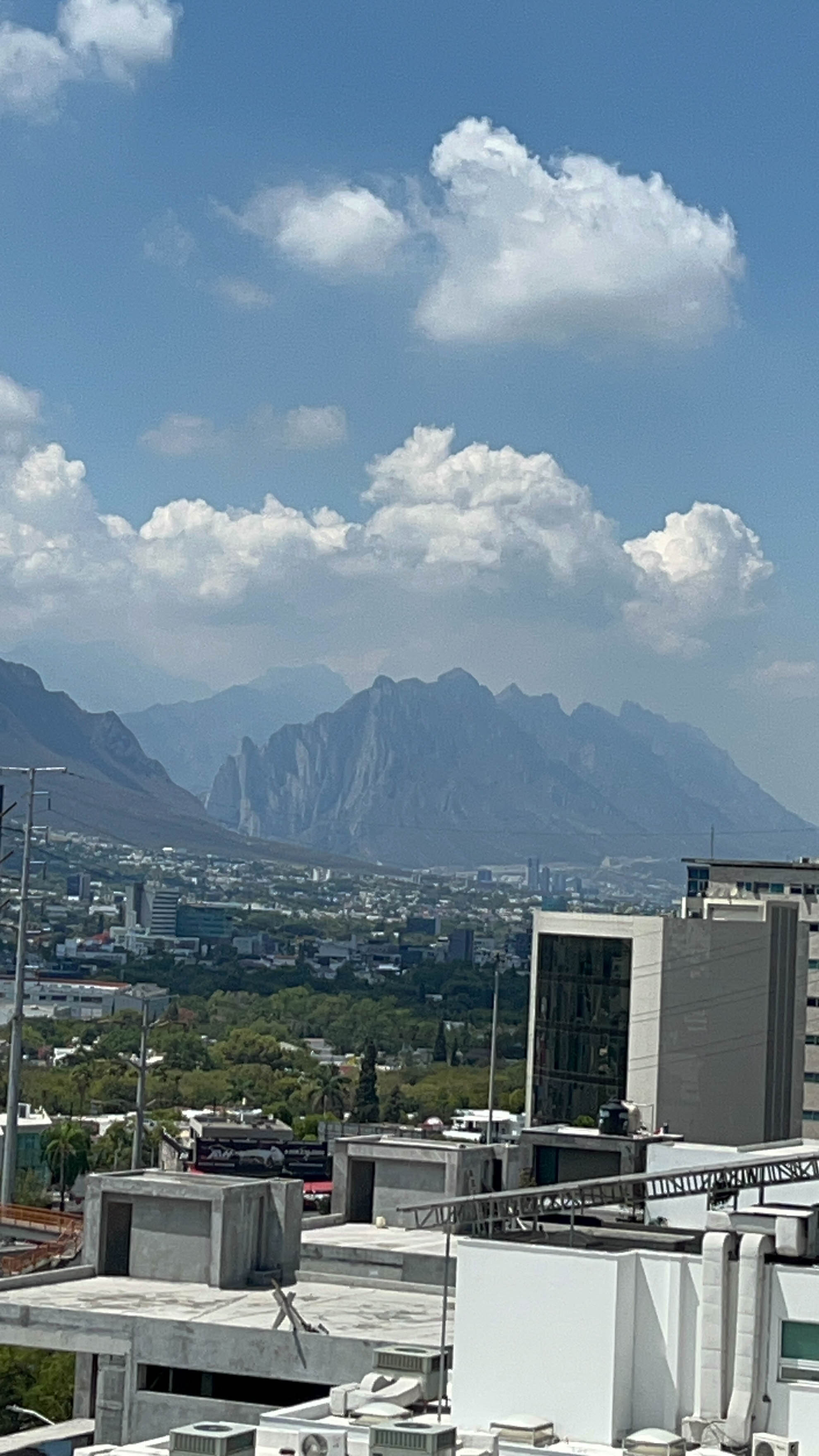 Daddy sent us a lot of photos from Monterrey