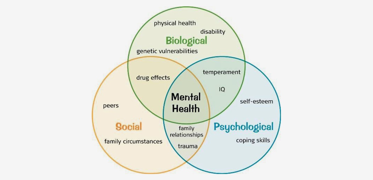 Biopsychosocial Diagram