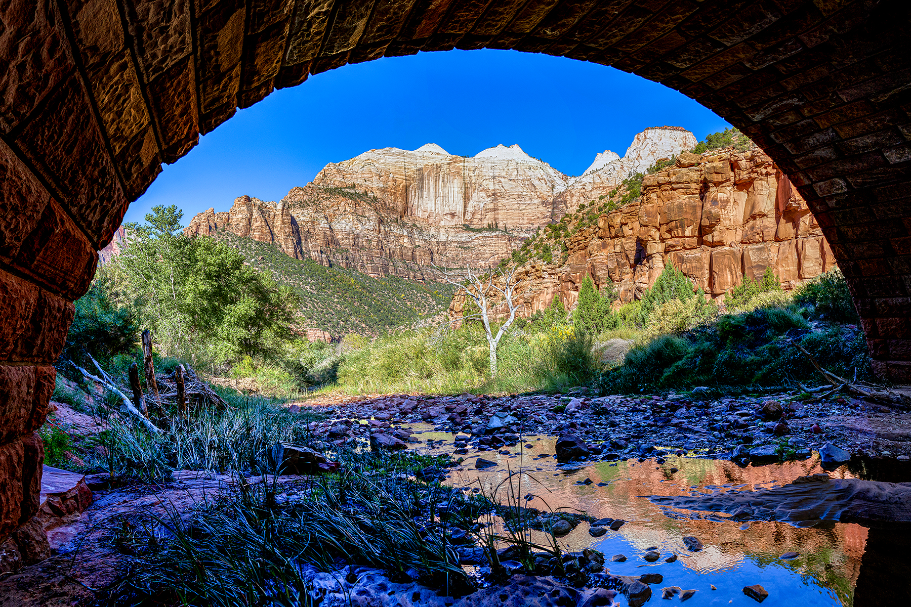 ZION DOWN UNDER - Most people don't see this view because you have to hike down under an overpass to find it. This day the light was good and the reflection was a bonus.