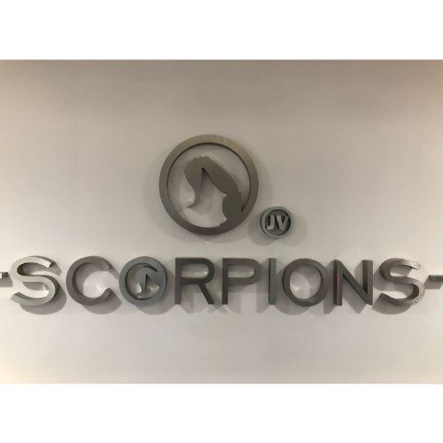 https://0201.nccdn.net/1_2/000/000/157/525/scorpions.jpg
