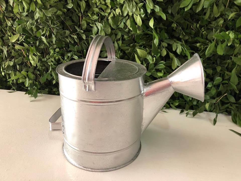 Regadera Plateada 
Medidas: 33 Altura x 19Ancho 
Alquiler $ 20.000