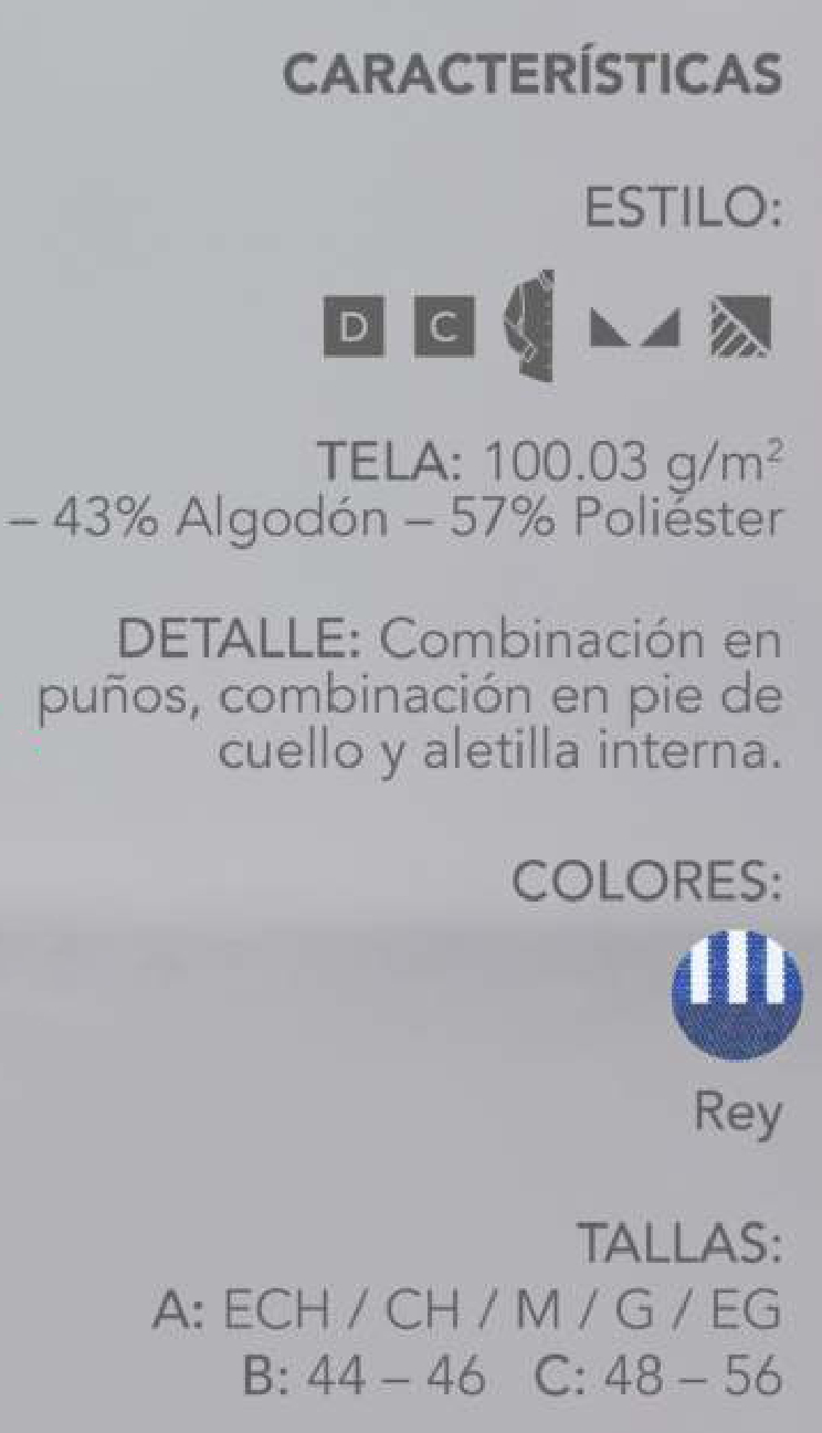 CARACTERISTICAS ESTILO VENECIA