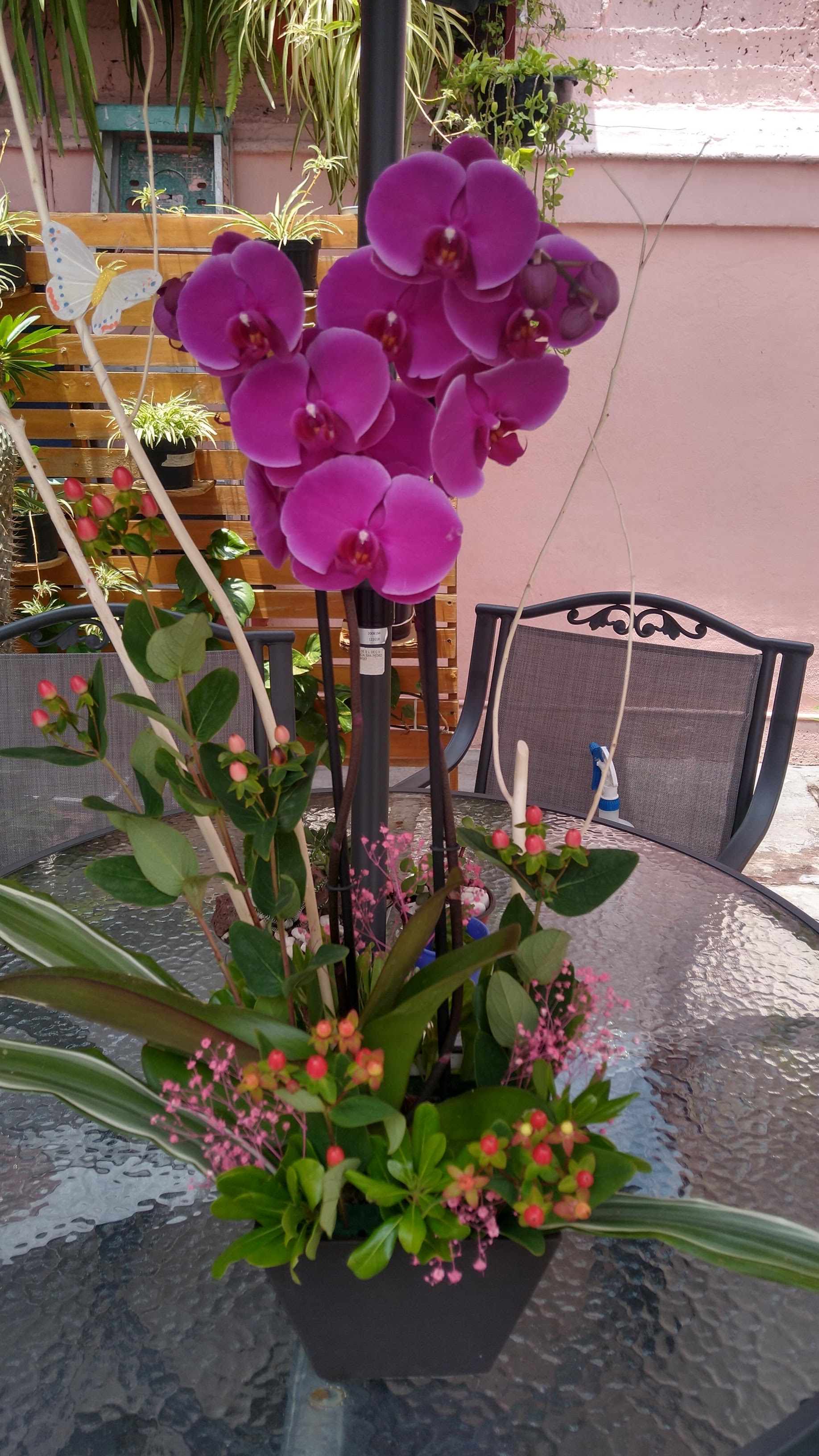 ORQUIDEA CON HYPERICUM