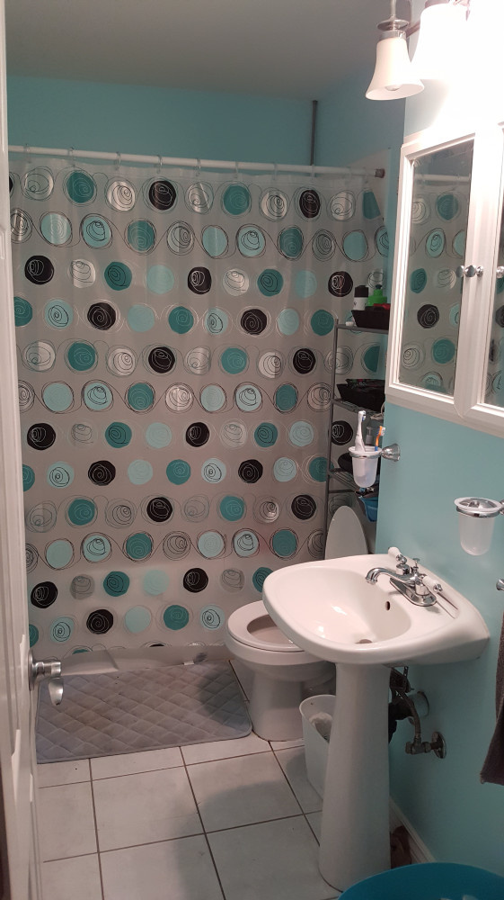 522 Highmeadow Bathroom