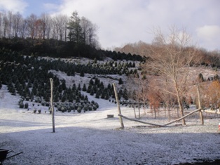 Sunrise on the farm after the first snow of 2010