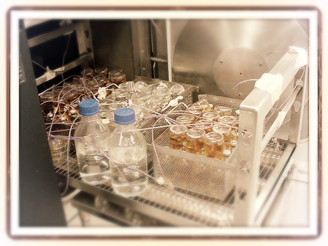 Validación de Procesos de Esterilización