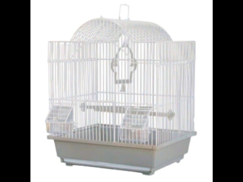 SP-2814 JAULA AVES AVY BOX