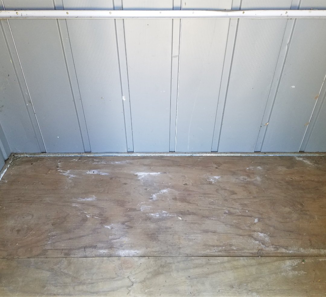 After Clean-Up 3