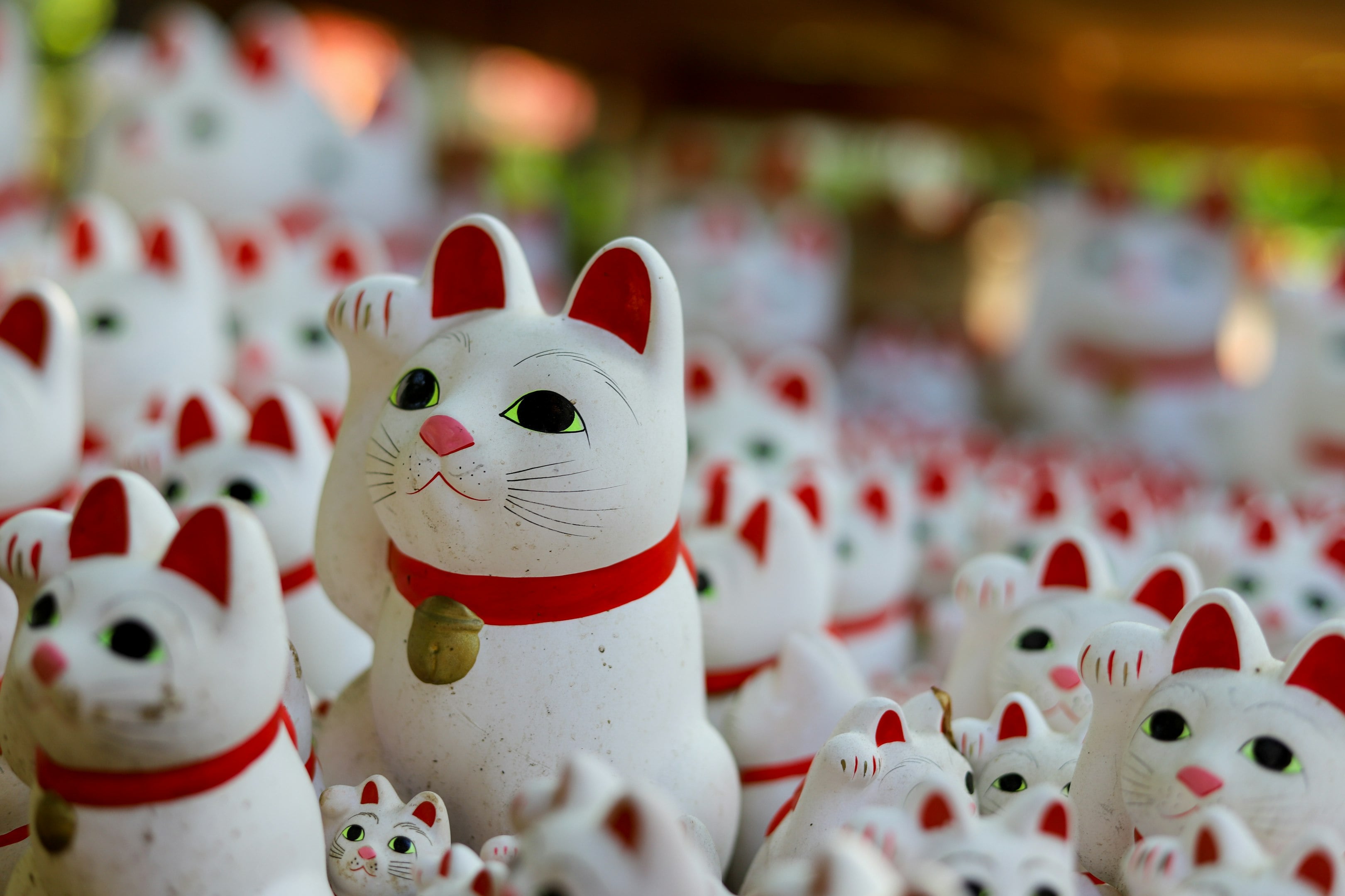 Multiple white ceramic Japanese Maneki-neko cat figurines with red accents and raised paws, symbolizing good luck. Multiple white ceramic Japanese Maneki-neko cat figurines with red accents and raised paws, symbolizing good luck.