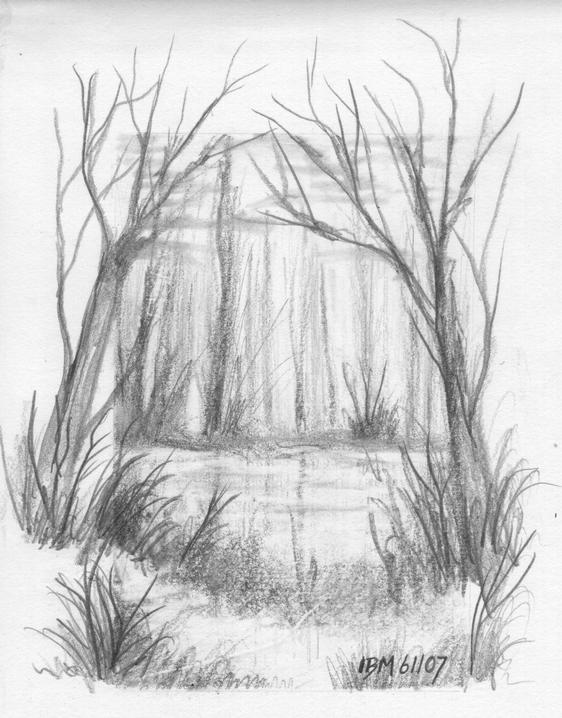 Hidden pond ©ibm 6-11-07