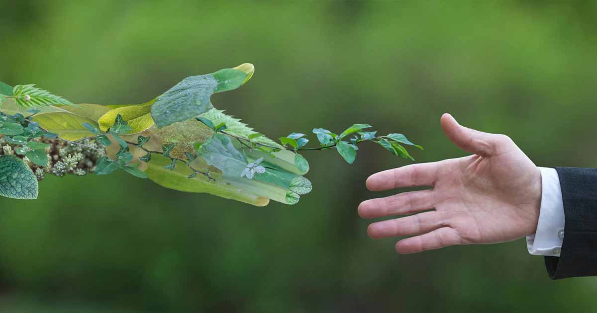Diplastin migable con el medio ambiente