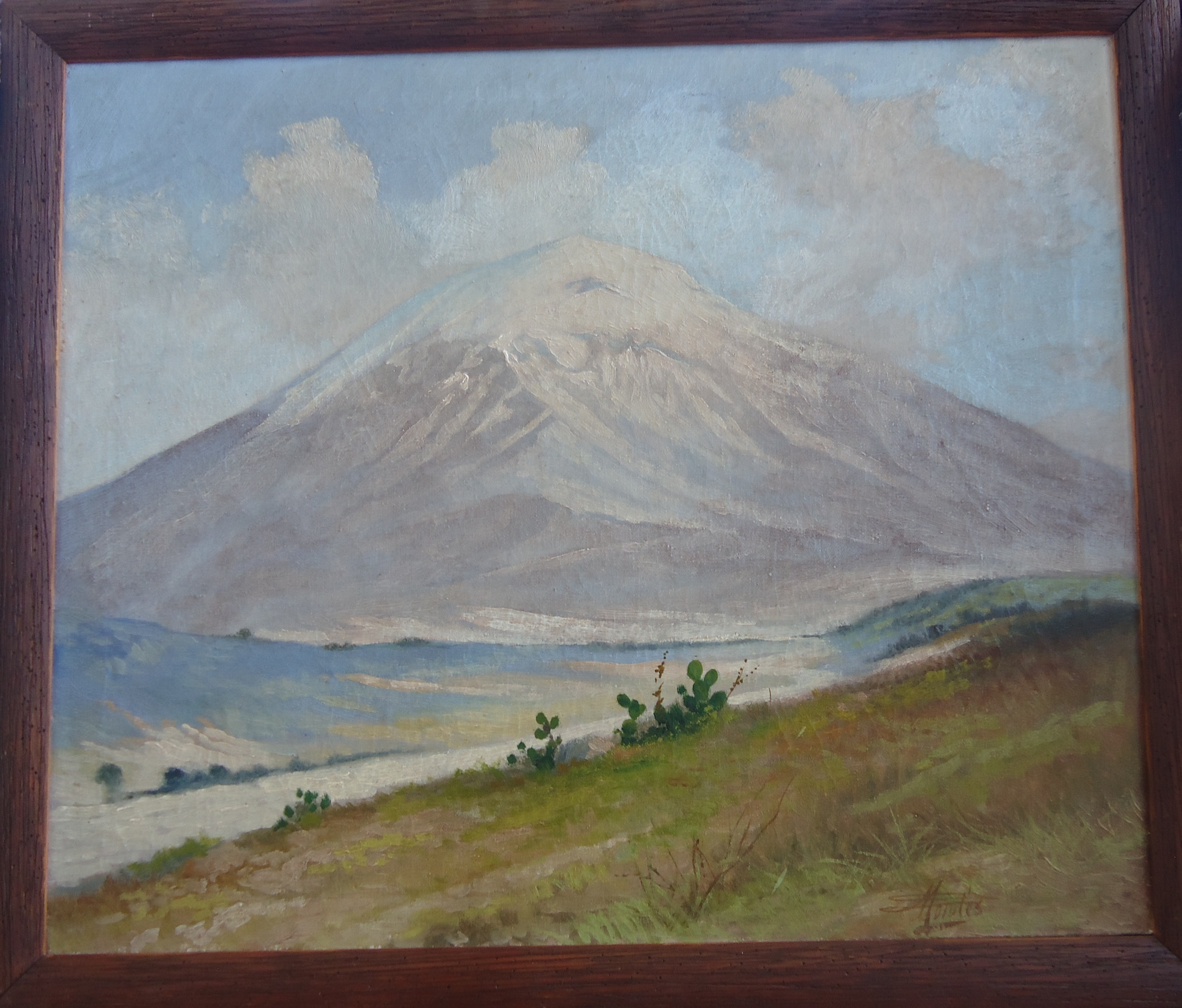 48
Guadalupe Morales
Popocatépetl
Óleo
50 x 61 cm