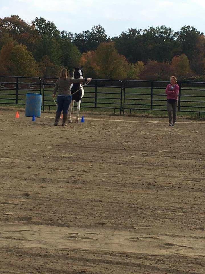 Positive Way Horsemanship Fall Clinic (2016)