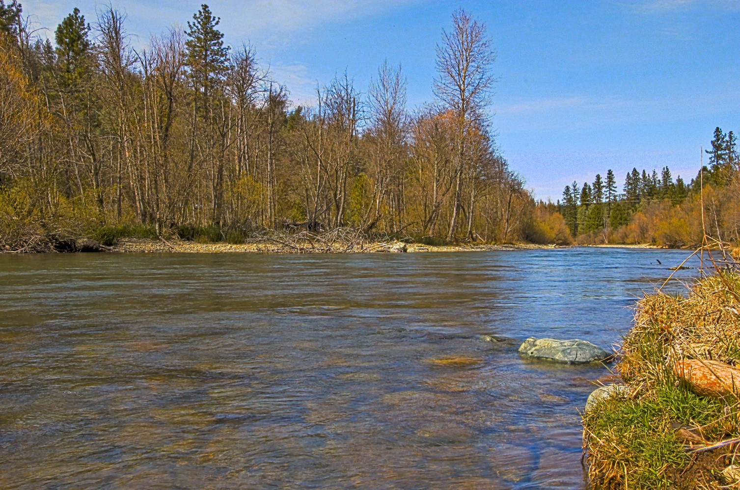 Upstream River Image